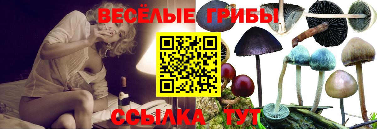 Урус-Мартан  Псилоцибиновые грибы Psilocybine cubensis  наркошоп  Вход с VPN  Псилоцибиновые грибы мухоморы 