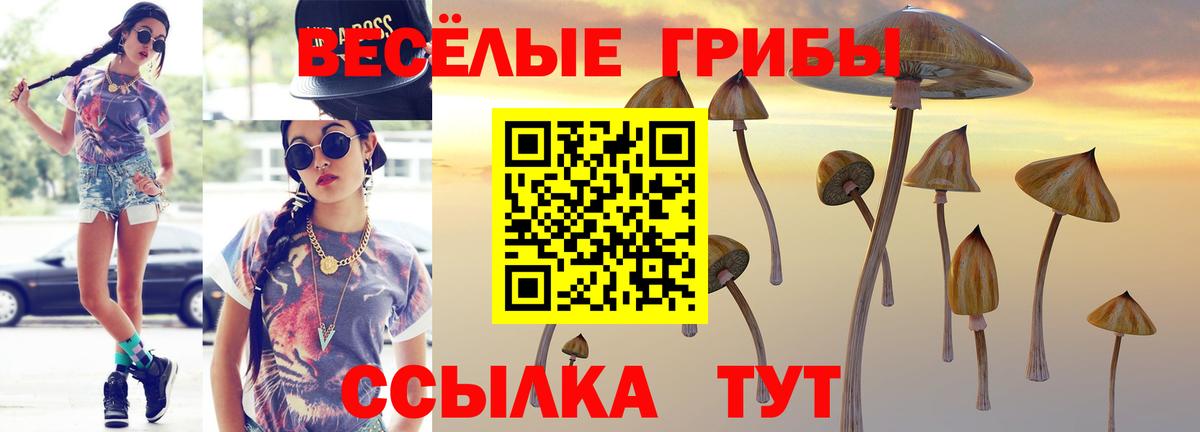 Псилоцибиновые грибы GOLDEN TEACHER Урус-Мартан
